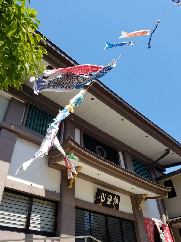 鯉のぼりを飾りました 妙運山 圓隆院 日蓮宗 寺院ページ