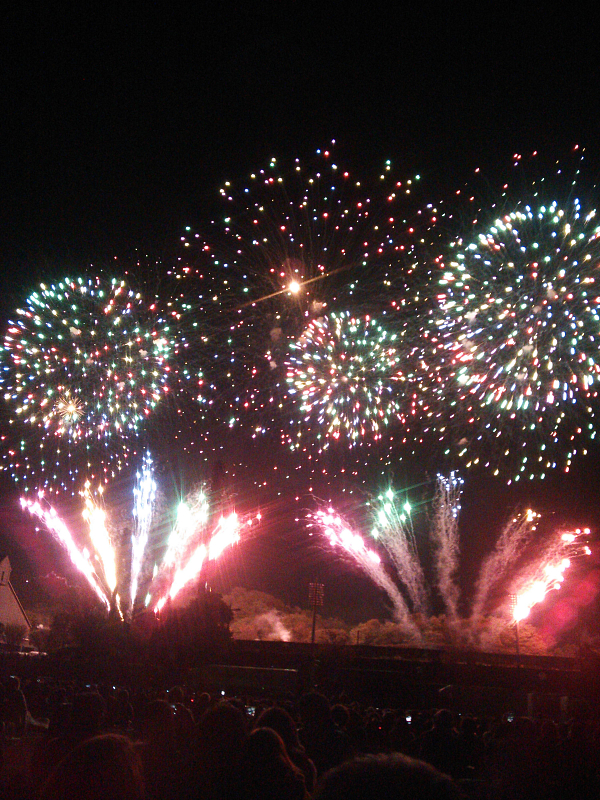 第５回いせはら芸術花火大会 神奈川県伊勢原市 宝上山 妙蔵寺 日蓮宗 寺院ページ